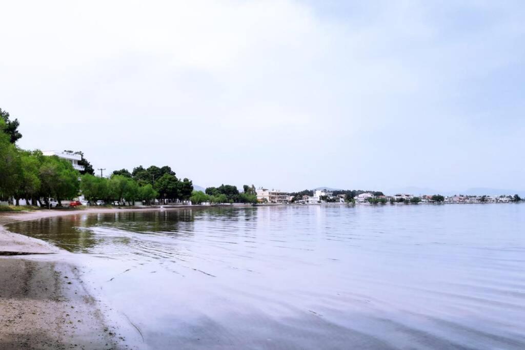 Πολυτελές Διαμέρισμα 3 Χαλκίδα-Παραλία Αυλίδος Paralia Avlidhos Extérieur photo